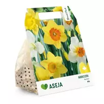 ASĖJA NARCIZŲ MIX SVOGŪNĖLIAI