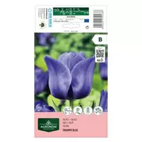 AGRONOM TULPĖS TRIUMPH BLUE 170168