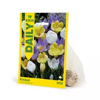 ASĖJA BOTANINIŲ KROKŲ MIX SVOGŪNĖLIAI