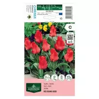 AGRONOM TULPĖS RED REDDING HOOD 170160