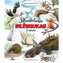 Knyga SKRUZDĖLIUKAS NEŽINIUKAS 5 KNYGA, R. DMUCHOVSKIENĖ