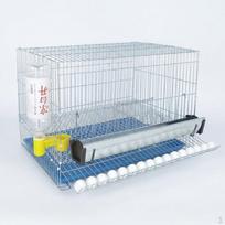 Mygtukinio putpelės narvas su mėšlo padėklu ir kojelėmis, metalinis tinklas naminiam auginimui, tinkamas Small rotating egg cage with t gray
