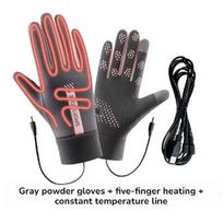USB įkraunamos šildomos pirštinės, reguliuojama temperatūra, neslystančios, lietimui jautrus ekranas, storesnės, šiltos, slidinėjimui, dviračių sportui, žiemai, lauke Pink(Women) gray