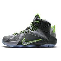 Nike LeBron 12 Dunk Force 684593-001 45.5 black