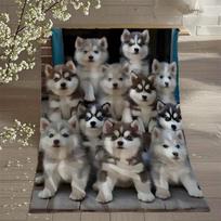 Husky Family Print Soft Flannel Blanket Throw with Adorable Siberian Husky Design, Hypoallergenic & Tear-Resistant 100cm*130cm