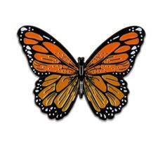 Magnetinis adatų laikiklis siuvinėjimui „Autumn Butterfly“, 40 x 30 mm