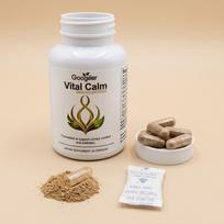 Googeer Vital Calm: Cranberry & Pumpkin Seed Blend (60ct) 3pack