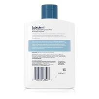 Lubriderm Daily Moisture Lotion, Size 6 Oz gray