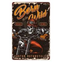 Pinup Motorcycle Metal Tin Signs Plaque Wall Decoration Vintage Art Posters Iron Painting for Man Cave Home Cafe Garden Club Bar 20x30cm gray