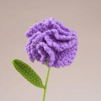 Creative Wool Carnation Bouquet Hand Crocheted Colorful Handmade Bouquet Crocheted Flower Girlfriends
