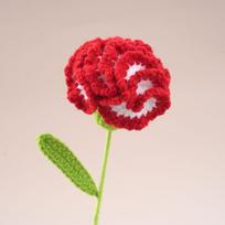 Creative Wool Carnation Bouquet Hand Crocheted Colorful Handmade Bouquet Crocheted Flower Girlfriends