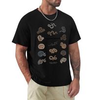 European Adder (Vipera Berus) TShirt Basic Plain Short Sleeve Crew Neck Tee 4XL black