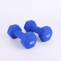 Hexagonal Rubber Coated Dumbbell for Women's Home Fitness & Arm Training 1kg blue