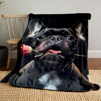 Prancūzų buldogas Rožinis pledas miegamojo Pledas svetainei Sofai pietų pertraukai Minkštas užklotas draugo festivaliui Dovana 80cm x 120cm gray