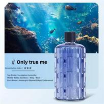 Portable Aroma Diffuser Fragrance Essential Oil Aromatherapy Machine Wall Mounted Humidifier Machine Air Freshener Only the true self