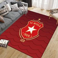 WISLA KRAKOW Flannel Pattern Square Carpet,Area Rug,Carpet Rug for Living Room Bedroom Sofa Playroom Decor,Non-slip Floor Mat 60x90cm( 23x35in )
