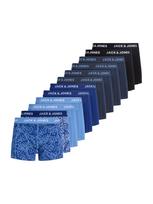 JACK & JONES Boxer trumpikės 'JACEFRON' mėlyna / mėlyna dūmų spalva / opalo / šviesiai mėlyna / juoda