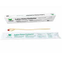 FOLEY CH12, latekso kateteris, 2 kan. 30 ml, 10 vnt.