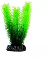 HOBBY Dirbtinė akvariumo augalų dekoracija Mayaca 16 cm