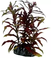 HOBBY Dirbtinė akvariumo augalo dekoracija, 13 cm