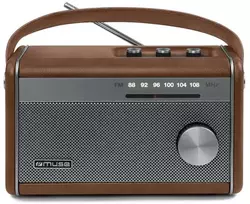 Nešiojamas FM radijas su Bluetooth, įkraunamas 1500mAh akumuliatorius, M 098 BR, MUSE
