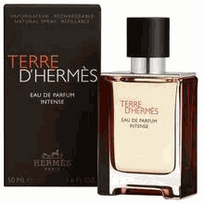Hermes _7815366 Terre D AND #x27; AND #x27; Intense EDP 100ml