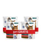 PERFECT FIT Sterile 1+ 4 x 750 g Visavertis sausas ėdalas suaugusioms katėms, gausus jautienos, 3+1 NEMOKAMAI