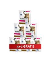 PERFECT FIT Adult 1+ 6 x 750 g visavertis sausas pašaras suaugusioms katėms, turintis daug šviežios lašišos, 4+2 GRATIS.