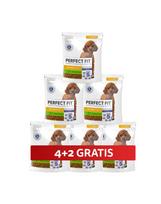 PERFECT FIT Sensitive 1+ visavertis sausas pašaras mažų veislių suaugusiems šunims, turintis daug kalakutienos, 6 x 825 g, 4+2 GRATIS.