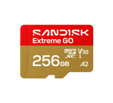 SanDisk Extreme GO microSDXC Atminties kortelė 256GB UHS-I