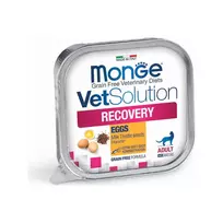 Veterinarinis šlapias maistas katėms | Monge VetSolution Recovery, 100 g