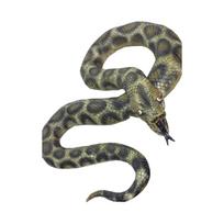 Gyvatė pitonas 180cm žalia