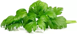 Click & Grow lapinių salierų augalų kapsulės Smart Garden sodui, 3 vnt. (SGR97X3)