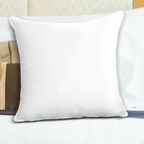 Kvadratinis pagalvės užpildas, medvilnės šerdis su užtrauktuku, skirtas sofai ir lovai 55cmx55cm 1100g_White Edge white