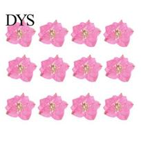 Art 12Pcs Dried Flowers Epoxy Resin DIY Creation Flower Nail Sticker Long-lasting Pressed for Bookmark Home Decor tamsiai rausva spalva