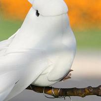 2Pcs White for PIGEON Ornament Decorative Fake White Dove with Metal Wire Simulated Feathered Birds for Home Garden China Mainland beige