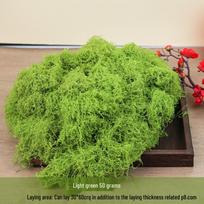 Dirbtinė samanų veja kraštovaizdžiui ir bonsai dekoravimui green