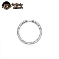 1pcs G23 Titanium Nose Ring 16G 18G 20G Hinged Septum Clicker Segment Ear Tragus Cartilage Helix Daith Lip Body Piercing Jewelry 16G 1.2X6mm&Hoop&Earrings&Face
