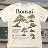 Bonsai Tree Shirt, Japanese Botanical Graphic Tee, Vintage Plant Lover Gift, Minimalist Zen Nature Aesthetic Gardening Comfort Colors® Shirt XL gray