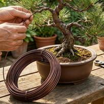 5M Anodized Aluminum Bonsai Training Wire, Large Roll,Many Size to Choose, Bendable Metal Wire for Crafts, Sculpting,Armature and Daily Use black
