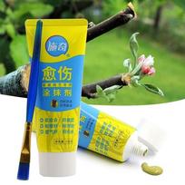 With Brush Bonsai Cut Tree Wound Smear Agent Pruning Compound Sealer Plant Restoring Regrowth Sealant Tree Wound Cut Paste 100g yellow
