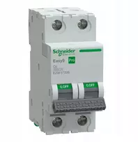Schneider Automatinis jungiklis C 6A 2P Easy9 Pro (EZ9F57206)