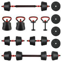 vidaXL 4-in-1 hantelių rinkinys 30kg Juoda ir raudona