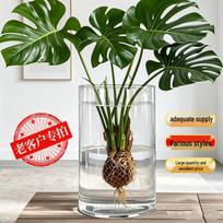 Modern Minimalist Hand-Blown Translucent Glass Vase: Light Luxury, Thickened Straight Tube Ornament for Dining Table. Diameter 15cm, Height 25cm black