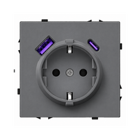 Kištukinis lizdas su USB A+C jungtimis Feelspot FSKL1A1CG, 20W, pilkas