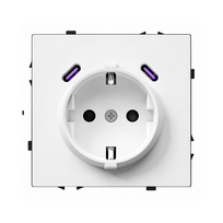 Kištukinis lizdas su USB C+C jungtimis Feelspot FSKL1CCW, 20W, baltas