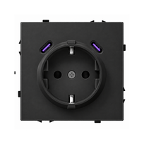 Kištukinis lizdas su USB C+C jungtimis Feelspot FSKL1CCB, 20W, juodas