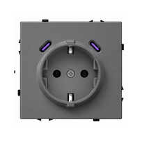 Kištukinis lizdas su USB C+C jungtimis Feelspot FSKL1CCG, 20W, pilkas