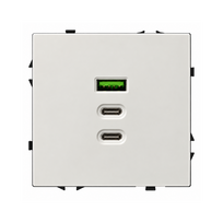 Greito krovimo USB rozetė su A+C+C jungtimis Feelspot FSACC65W, 65 W, balta