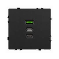 Greito krovimo USB rozetė su A+C+C jungtimis Feelspot FSACC65B, 65 W, juoda